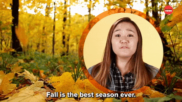 Fall Autumn GIF by BuzzFeed