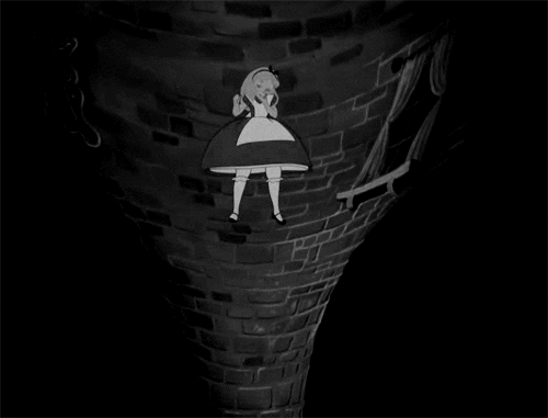 cat fall GIF