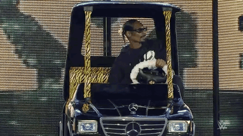snoop dogg GIF by WWE