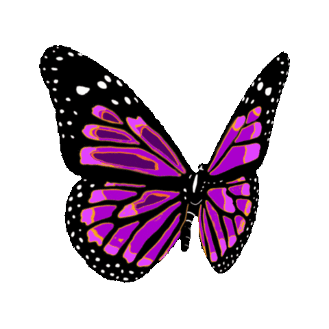butterfly STICKER by imoji