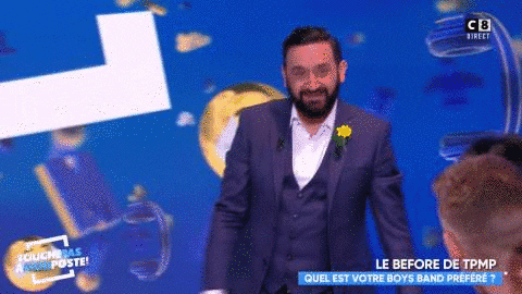 touche pas a mon poste smile GIF by C8