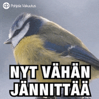 pohjolavakuutus lintu markkujajohannes odotus tunne GIF