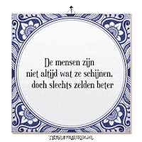 Humor Reflectie Sticker by Tegelspreuken.nl
