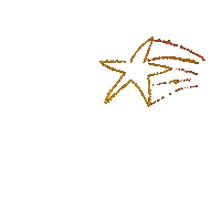 Star Sticker