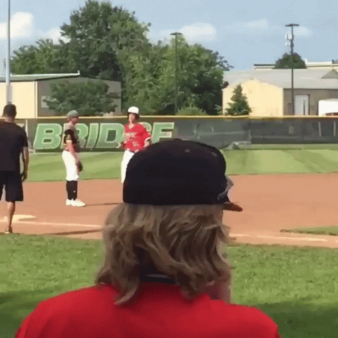 rawlingstigers baseball mlb coach high five GIF