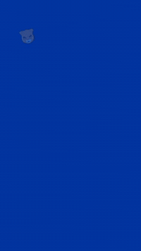 Uky GIF by University of Kentucky