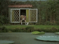 jump joy GIF