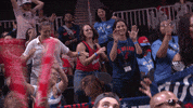 AtlantaDream dance sports fun basketball GIF