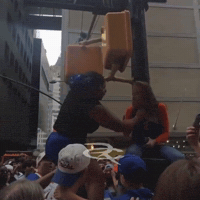 Yank New York Knicks GIF by Respective