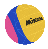 Vizilabda Sticker