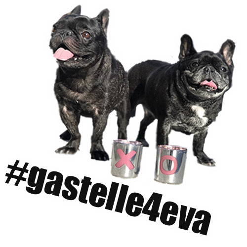 whiskeyandwoof giphyupload candles xo couple goals Sticker