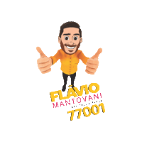 flaviomantovaniooficial flaviomantovani deputadoflaviomantovani Sticker
