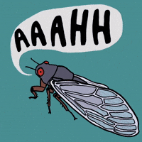 Lindsay Screaming GIF by LD Nehls