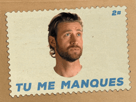 French Francais GIF