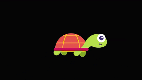 GoMinno giphygifmaker turtle church at home minno GIF