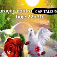 Occ Pomba GIF