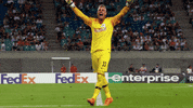 awesome celebration GIF by FC Red Bull Salzburg
