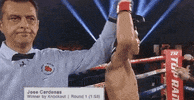 toprank fight boxing fighting champion GIF