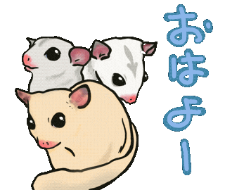 Morning おはよう Sticker