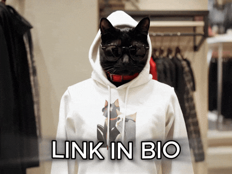 Cat Hoodie GIF