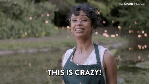 Great American Baking Show GIF by The Roku Channel