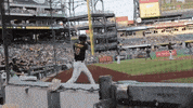 big cat pft GIF by Barstool Sports