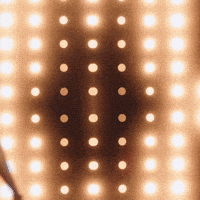 University Of Louisville Go Cards GIF by Louisville Cardinals