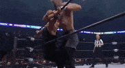 Chris Jericho ÄEw GIF by All Elite Wrestling on TNT