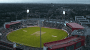 Cricket GIF by The Hundred