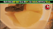 summer japan GIF
