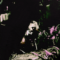 Jon Lee Flowers GIF by Feeder