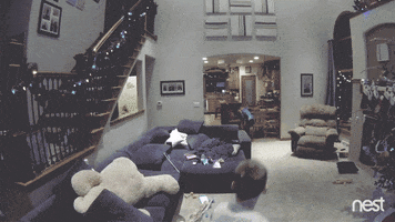uh oh football GIF by Nest