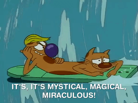 nicksplat GIF