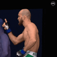 pflmma no up mma espn GIF