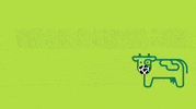 Wear A Mask Uvm GIF by University of Vermont