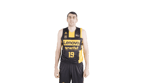 Celebrar Liga Endesa Sticker by ACB