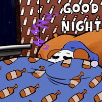 Night Sleeping GIF by Youtooz
