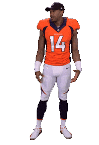 Denver Broncos Sticker Sticker by NFL