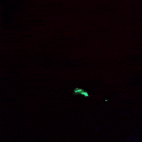 Glowing Mars Attacks GIF by sophiaqin
