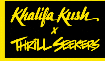 Kk Wiz GIF by Thrill Seekers