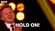 Gordon Ramsay Stop GIF by BBC