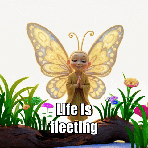 Peace Butterfly GIF by BuddhaFlyJourney