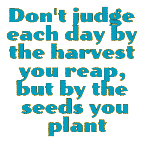 SouthBronxNative harvest seeds affirmations sowing Sticker