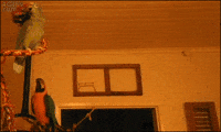 GIF by moodman