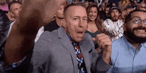 georgesrushstpierre giphyupload ufc mma punch GIF
