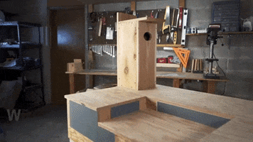Wood Duck Box GIF by ISUExtension