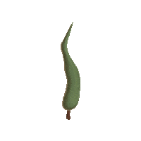 Tree Sticker