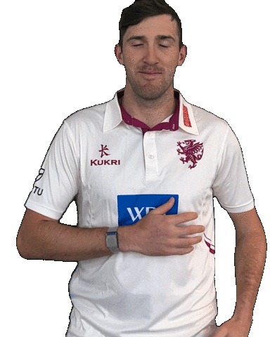 Sport England Sticker by Somerset County Cricket Club