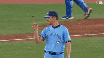 Blue Jays Baseball GIF by Toronto Blue Jays