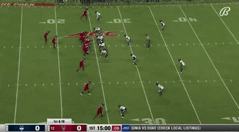therealessad giphygifgrabber touchdown nc state Leary GIF